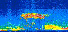 /calipso-imagery/data/BROWSE/production/V5-00/2008-05-27/2008-05-27_12-55-17_V5.00_2_thmb.png image missing