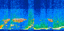 /calipso-imagery/data/BROWSE/production/V5-00/2008-05-27/2008-05-27_12-55-17_V5.00_3_thmb.png image missing