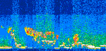 /calipso-imagery/data/BROWSE/production/V5-00/2008-05-27/2008-05-27_16-13-03_V5.00_3_thmb.png image missing