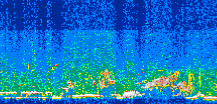 /calipso-imagery/data/BROWSE/production/V5-00/2008-05-27/2008-05-27_21-09-43_V5.00_3_thmb.png image missing