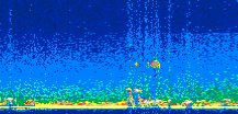 /calipso-imagery/data/BROWSE/production/V5-00/2008-05-27/2008-05-27_22-48-38_V5.00_2_thmb.png image missing