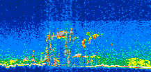 /calipso-imagery/data/BROWSE/production/V5-00/2008-06-01/2008-06-01_11-35-07_V5.00_2_thmb.png image missing