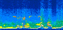 /calipso-imagery/data/BROWSE/production/V5-00/2008-06-01/2008-06-01_11-35-07_V5.00_3_thmb.png image missing