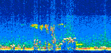 /calipso-imagery/data/BROWSE/production/V5-00/2008-06-01/2008-06-01_14-52-53_V5.00_2_thmb.png image missing