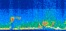 /calipso-imagery/data/BROWSE/production/V5-00/2008-06-01/2008-06-01_14-52-53_V5.00_3_thmb.png image missing