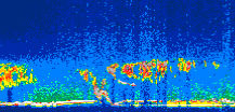 /calipso-imagery/data/BROWSE/production/V5-00/2008-06-01/2008-06-01_19-49-33_V5.00_1_thmb.png image missing