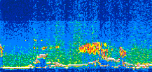 /calipso-imagery/data/BROWSE/production/V5-00/2008-06-01/2008-06-01_21-28-24_V5.00_3_thmb.png image missing