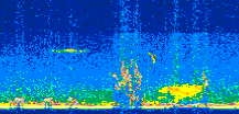 /calipso-imagery/data/BROWSE/production/V5-00/2008-07-07/2008-07-07_14-28-46_V5.00_2_thmb.png image missing