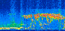 /calipso-imagery/data/BROWSE/production/V5-00/2008-07-07/2008-07-07_19-25-22_V5.00_2_thmb.png image missing