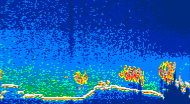 /calipso-imagery/data/BROWSE/production/V5-00/2008-07-08/2008-07-08_05-18-38_V5.00_4_thmb.png image missing