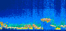 /calipso-imagery/data/BROWSE/production/V5-00/2008-07-08/2008-07-08_06-57-33_V5.00_1_thmb.png image missing