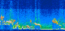/calipso-imagery/data/BROWSE/production/V5-00/2008-07-08/2008-07-08_06-57-33_V5.00_3_thmb.png image missing