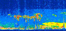 /calipso-imagery/data/BROWSE/production/V5-00/2008-07-08/2008-07-08_08-36-29_V5.00_2_thmb.png image missing