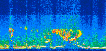 /calipso-imagery/data/BROWSE/production/V5-00/2008-07-08/2008-07-08_15-11-59_V5.00_3_thmb.png image missing