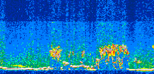 /calipso-imagery/data/BROWSE/production/V5-00/2008-07-08/2008-07-08_21-47-30_V5.00_3_thmb.png image missing