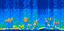 /calipso-imagery/data/BROWSE/production/V5-00/2008-07-09/2008-07-09_02-44-11_V5.00_3_thmb.png image missing