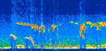 /calipso-imagery/data/BROWSE/production/V5-00/2008-07-09/2008-07-09_04-23-01_V5.00_2_thmb.png image missing