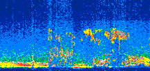 /calipso-imagery/data/BROWSE/production/V5-00/2008-07-09/2008-07-09_06-01-56_V5.00_2_thmb.png image missing