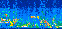 /calipso-imagery/data/BROWSE/production/V5-00/2008-07-09/2008-07-09_07-40-47_V5.00_3_thmb.png image missing