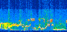 /calipso-imagery/data/BROWSE/production/V5-00/2008-07-09/2008-07-09_09-19-42_V5.00_3_thmb.png image missing