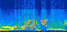 /calipso-imagery/data/BROWSE/production/V5-00/2008-07-09/2008-07-09_10-58-32_V5.00_3_thmb.png image missing