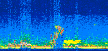 /calipso-imagery/data/BROWSE/production/V5-00/2008-07-09/2008-07-09_15-55-13_V5.00_2_thmb.png image missing
