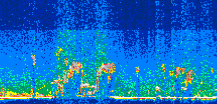 /calipso-imagery/data/BROWSE/production/V5-00/2008-07-09/2008-07-09_17-34-08_V5.00_3_thmb.png image missing