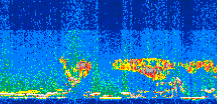 /calipso-imagery/data/BROWSE/production/V5-00/2008-07-09/2008-07-09_22-30-43_V5.00_3_thmb.png image missing