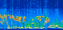 /calipso-imagery/data/BROWSE/production/V5-00/2008-08-01/2008-08-01_02-49-30_V5.00_3_thmb.png image missing