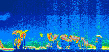 /calipso-imagery/data/BROWSE/production/V5-00/2008-08-01/2008-08-01_04-28-20_V5.00_1_thmb.png image missing