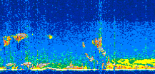 /calipso-imagery/data/BROWSE/production/V5-00/2008-08-01/2008-08-01_16-00-31_V5.00_2_thmb.png image missing