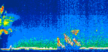 /calipso-imagery/data/BROWSE/production/V5-00/2008-08-01/2008-08-01_19-18-17_V5.00_1_thmb.png image missing