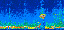 /calipso-imagery/data/BROWSE/production/V5-00/2008-08-01/2008-08-01_20-57-12_V5.00_2_thmb.png image missing