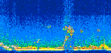 /calipso-imagery/data/BROWSE/production/V5-00/2008-08-07/2008-08-07_00-33-08_V5.00_2_thmb.png image missing