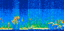 /calipso-imagery/data/BROWSE/production/V5-00/2008-08-07/2008-08-07_00-33-08_V5.00_3_thmb.png image missing