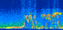 /calipso-imagery/data/BROWSE/production/V5-00/2008-08-07/2008-08-07_03-50-53_V5.00_2_thmb.png image missing