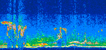 /calipso-imagery/data/BROWSE/production/V5-00/2008-08-07/2008-08-07_03-50-53_V5.00_3_thmb.png image missing
