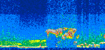 /calipso-imagery/data/BROWSE/production/V5-00/2008-08-07/2008-08-07_12-05-20_V5.00_3_thmb.png image missing