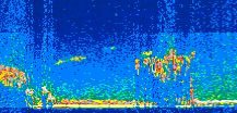 /calipso-imagery/data/BROWSE/production/V5-00/2008-08-07/2008-08-07_21-58-36_V5.00_2_thmb.png image missing