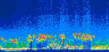 /calipso-imagery/data/BROWSE/production/V5-00/2008-08-09/2008-08-09_00-20-40_V5.00_1_thmb.png image missing