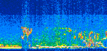 /calipso-imagery/data/BROWSE/production/V5-00/2008-08-09/2008-08-09_00-20-40_V5.00_3_thmb.png image missing