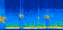 /calipso-imagery/data/BROWSE/production/V5-00/2008-08-09/2008-08-09_01-59-35_V5.00_2_thmb.png image missing