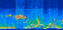 /calipso-imagery/data/BROWSE/production/V5-00/2008-08-09/2008-08-09_01-59-35_V5.00_3_thmb.png image missing
