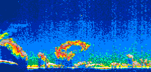 /calipso-imagery/data/BROWSE/production/V5-00/2008-08-09/2008-08-09_06-56-09_V5.00_1_thmb.png image missing