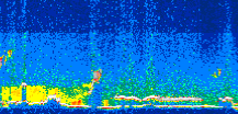 /calipso-imagery/data/BROWSE/production/V5-00/2008-08-09/2008-08-09_08-35-04_V5.00_3_thmb.png image missing