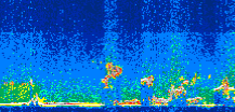 /calipso-imagery/data/BROWSE/production/V5-00/2008-08-09/2008-08-09_13-31-40_V5.00_3_thmb.png image missing
