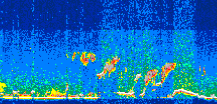 /calipso-imagery/data/BROWSE/production/V5-00/2008-08-09/2008-08-09_15-10-35_V5.00_3_thmb.png image missing