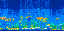 /calipso-imagery/data/BROWSE/production/V5-00/2008-08-09/2008-08-09_23-25-00_V5.00_3_thmb.png image missing