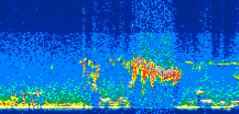 /calipso-imagery/data/BROWSE/production/V5-00/2008-09-01/2008-09-01_00-24-58_V5.00_3_thmb.png image missing