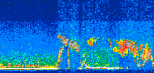 /calipso-imagery/data/BROWSE/production/V5-00/2008-09-01/2008-09-01_02-03-53_V5.00_3_thmb.png image missing